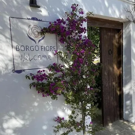 Borgo Fiore Salice Salentino