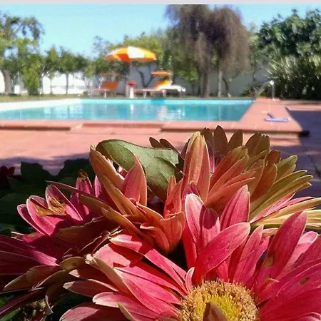 Bed & Breakfast Borgo Fiore Salice Salentino