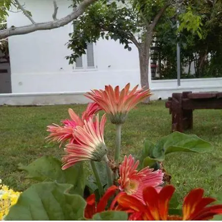 Borgo Fiore